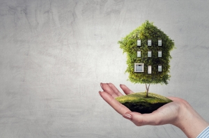 GST and property settlement's photo
